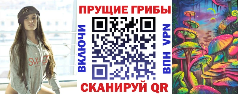 Псилоцибиновые грибы Psilocybine cubensis Красногорск