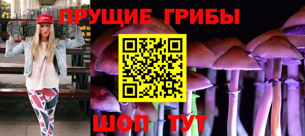 Галлюциногенные грибы GOLDEN TEACHER  Галлюциногенные грибы Magic Shrooms  Вход с VPN  Красногорск 
