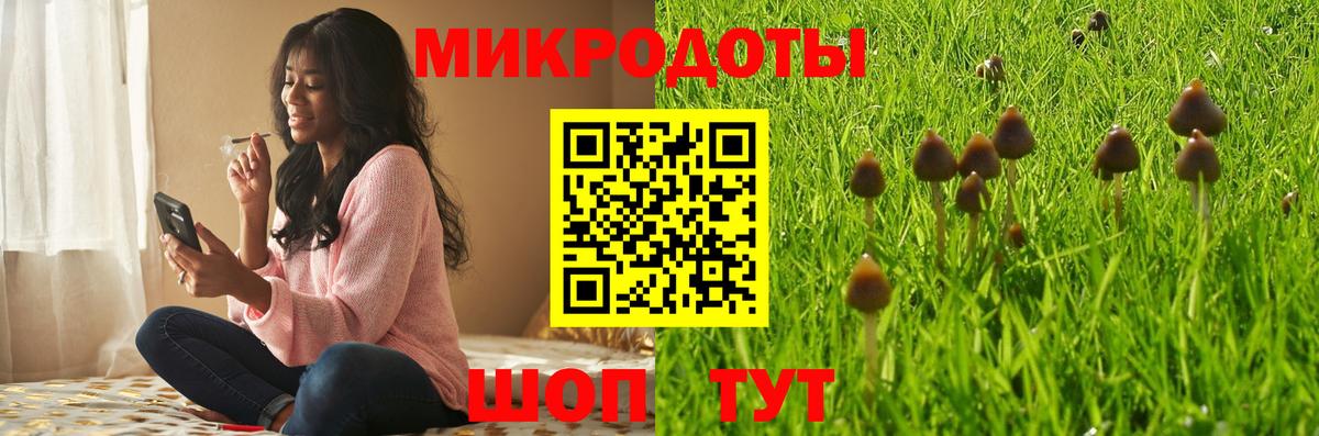 Галлюциногенные грибы Psilocybe Красногорск