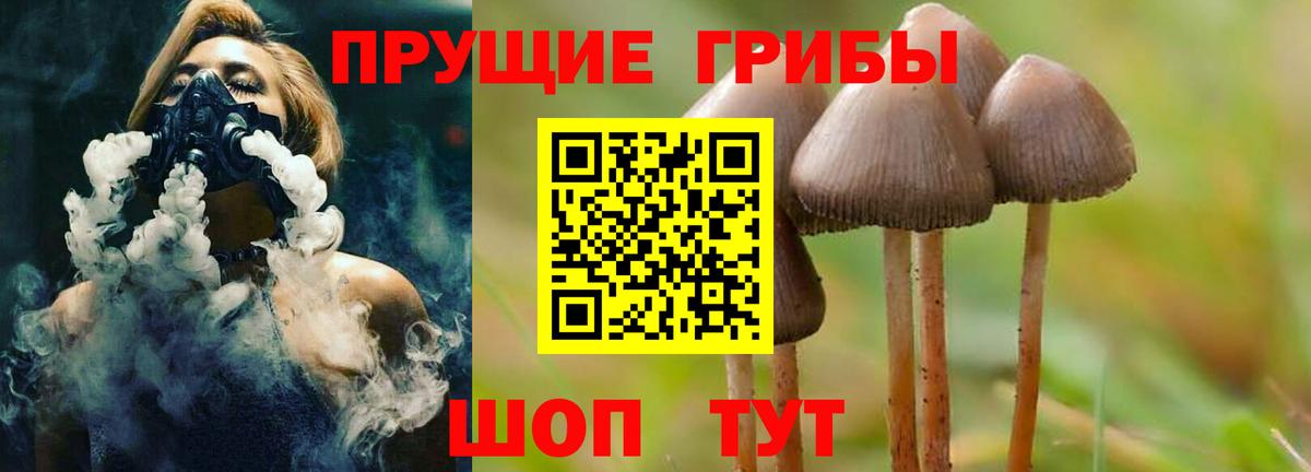 Псилоцибиновые грибы мицелий Красногорск